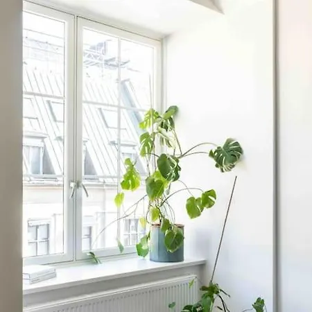 Apartmán Stilren Leilighet Midt I Sentrum *